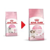 Royal Canin Kitten Yavru Kedi Maması 4 Kg - Görsel 2