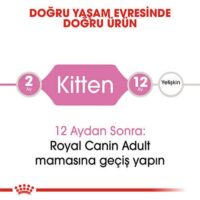 Royal Canin Kitten Yavru Kedi Maması 4 Kg - Görsel 3